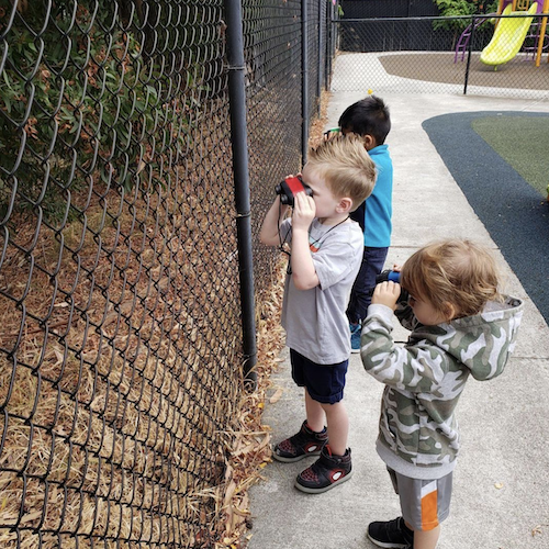 Award Winning Preschools & Infant Centers in the Bay Area